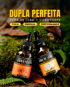 Dupla Perfeita IA 1