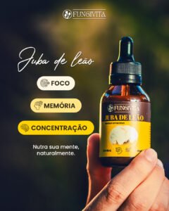 Extrato 01