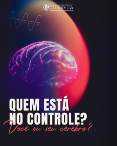 Saia do Automatico 3