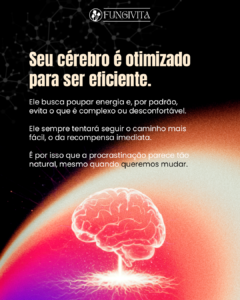Slide 02